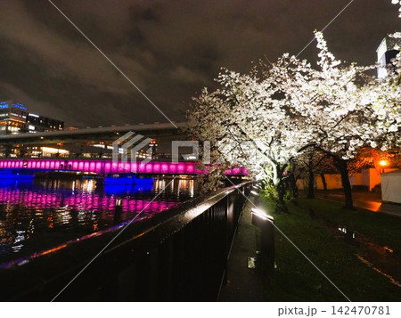 大阪の京橋駅付近と天満橋から見る夜景と夜桜 大阪の京橋駅付近と天満橋から見る夜景と夜桜 142470781