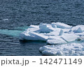 海面に浮かぶ流氷 142471149