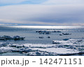 海面に浮かぶ流氷 142471151