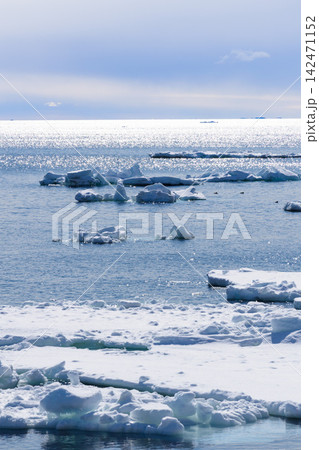 海面に浮かぶ流氷 海面に浮かぶ流氷 142471152