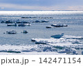 海面に浮かぶ流氷 142471154