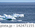 海面に浮かぶ流氷 142471155