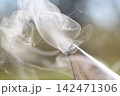 Dense curling smoke from bee smoker close-up Dense curling smoke from bee smoker close-up 142471306