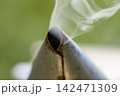 Extreme close-up of smoke exiting bee smoker opening Extreme close-up of smoke exiting bee smoker opening 142471309