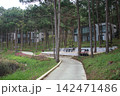 Modern villas among pine trees at a hillside resort 142471486