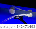 Silhouetted hand photographing jellyfish in a blue-lit aquarium tank 142471492