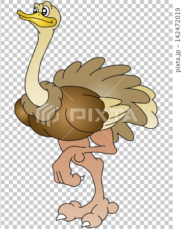 手繪動物插畫 ☆ 鴕鳥 手繪動物插畫 ☆ 鴕鳥 142472019