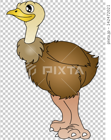 手繪動物插畫 ☆ 鴕鳥 手繪動物插畫 ☆ 鴕鳥 142472021
