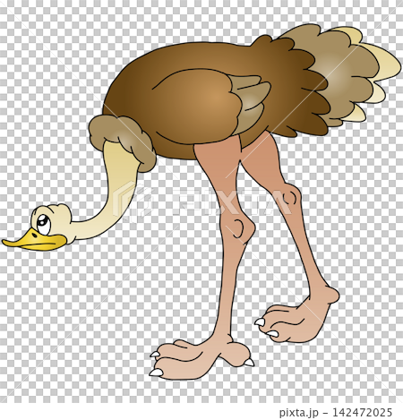 手繪動物插畫 ☆ 鴕鳥 142472025