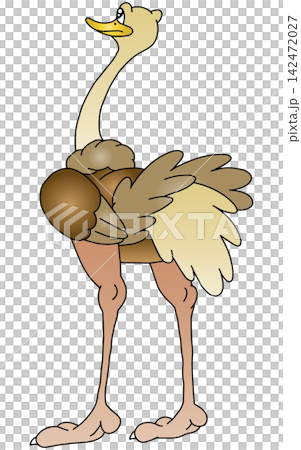手繪動物插畫 ☆ 鴕鳥 142472027