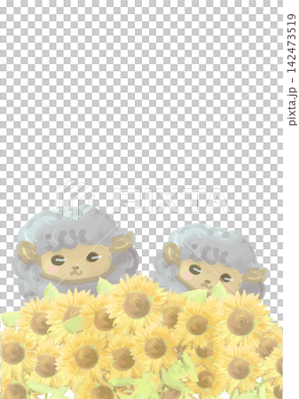 An illustration of sunflowers and sheep. Zodiac animal material for New Year's cards. An illustration of sunflowers and sheep. Zodiac animal material for New Year's cards. 142473519