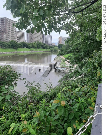川のある風景　緑の景色 142473812