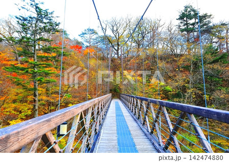 秋の塩原渓谷の七つ岩吊橋/栃木県那須塩原市 秋の塩原渓谷の七つ岩吊橋/栃木県那須塩原市 142474880