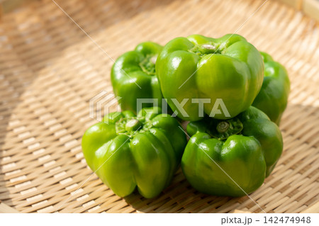 ザルにのせた伝統野菜のかぐら南蛮(9月) ザルにのせた伝統野菜のかぐら南蛮(9月) 142474948