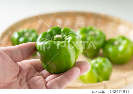 手にのせた伝統野菜のかぐら南蛮（9月） 142474952