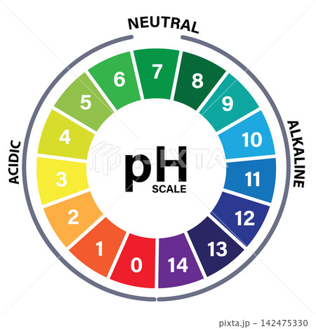 pH scale wheel icon. Scale indicator for litmus paper test sign. lab testing visuals and scientific measurement symbol. Ph round scale collection. flat style. 142475330