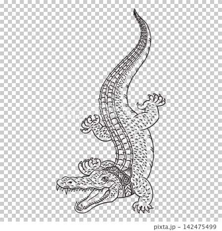 Illustration of traditional thai Crocodile Tattoos Illustration of traditional thai Crocodile Tattoos 142475499