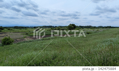 荒川 荒川 142475884