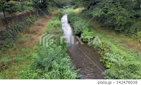 野川 野川 142476038