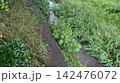 野川 142476072