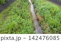 野川 142476085