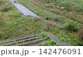 野川 142476091