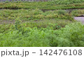 野川 142476108