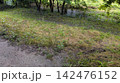 野川 142476152