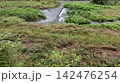 野川 142476254
