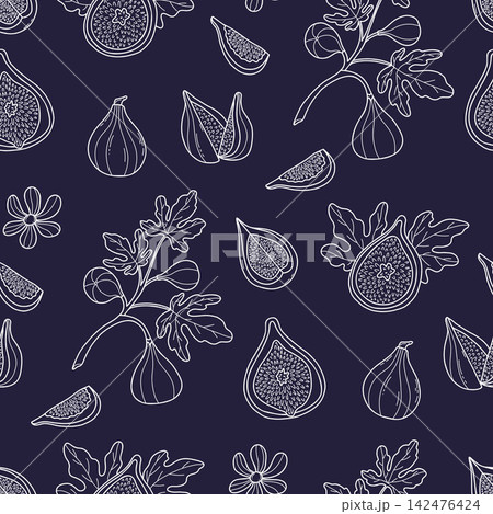 Seamless Pattern Fig. White Line Art Botanical Branch, Rhizome, Ripe Fruits, Cut Half and Botanical Tree Twig on Dark Blue Background. Vector Illustration. Hand Drawn Organic Packaging Fabric Print. 142476424