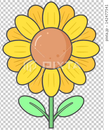 Cute cartoon blooming sunflower for spring summer garden 142477541