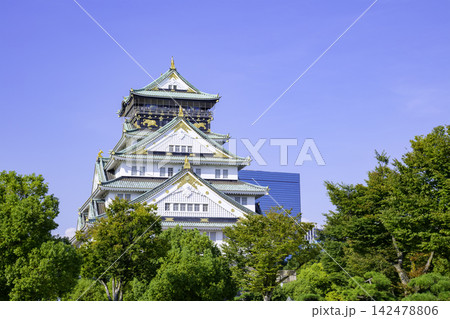 大阪城天守閣(大阪府大阪市) 大阪城天守閣(大阪府大阪市) 142478806