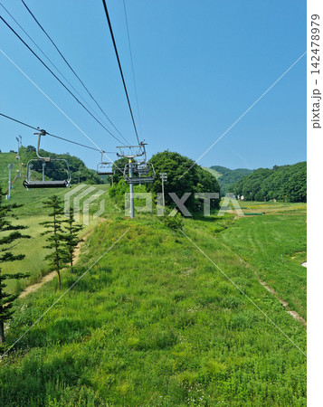 It is a summer ski resort with lifts. It is a summer ski resort with lifts. 142478979