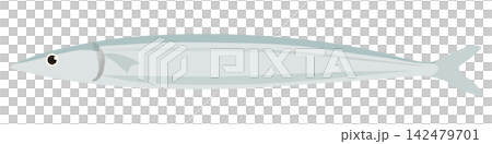 Simple vector illustration of a saury Simple vector illustration of a saury 142479701