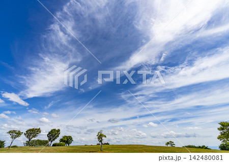 夏の青空と雲と草原 夏の青空と雲と草原 142480081