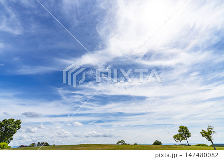 夏の青空と雲と草原 142480082