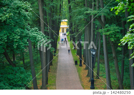 Colorful Monument at the End of a Forest Walkway Colorful Monument at the End of a Forest Walkway 142480250