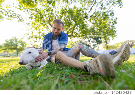 Old bull terrier sits on grass while male owner gently pets the dog, surrounded by trees and a sunny park setting with clear blue sky in the background Old bull terrier sits on grass while male owner gently pets the dog, surrounded by trees and a sunny park setting with clear blue sky in the background 142480428