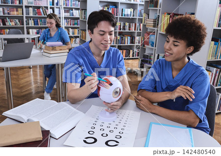 Asian medical student pointing with a pen to an anatomical eyeball model while explaining it to a classmate in a library. Ophthalmology and ocular surgery study 142480540