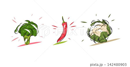 Fresh Vegetable Illustration Set with Broccoli, Red Chili Pepper and Cauliflower, Colorful Hand Drawn Healthy Organic Food Vector Design Elements Isolated on White Fresh Vegetable Illustration Set with Broccoli, Red Chili Pepper and Cauliflower, Colorful Hand Drawn Healthy Organic Food Vector Design Elements Isolated on White 142480903