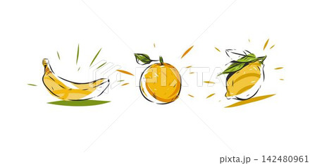 Fresh Fruit Illustration Set with Banana, Orange and Lemon, Colorful Hand Drawn Citrus and Tropical Fruits, Healthy Food Vector Design Elements Isolated on White. Fresh Fruit Illustration Set with Banana, Orange and Lemon, Colorful Hand Drawn Citrus and Tropical Fruits, Healthy Food Vector Design Elements Isolated on White. 142480961