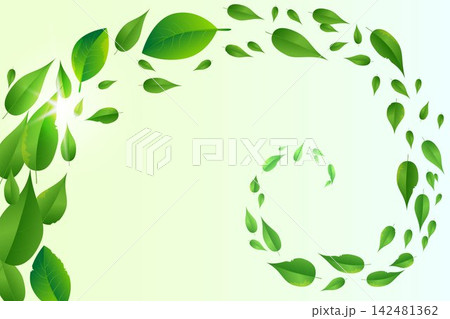 Fresh green leaves creating a dynamic spiral pattern against a soft ecological gradient Fresh green leaves creating a dynamic spiral pattern against a soft ecological gradient 142481362