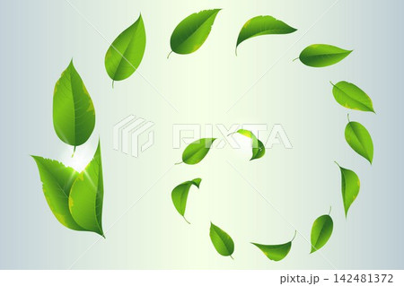 Green leaves creating a swirling pattern, representing nature, growth, and environmental concepts 142481372