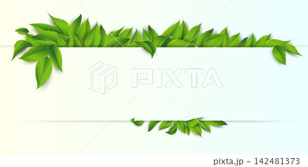 Fresh green leaves border a blank banner with copy space, representing nature and ecology concepts Fresh green leaves border a blank banner with copy space, representing nature and ecology concepts 142481373