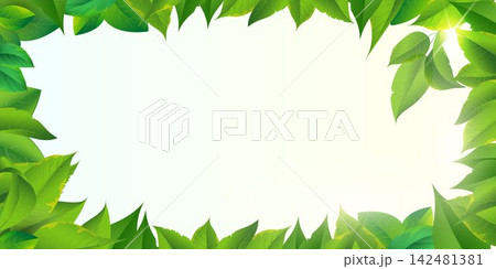 Green leaves creating a natural frame with sunlight, offering copy space for designs 142481381