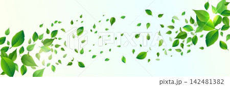 Green leaves flying against a light background, symbolizing freshness, spring, and environmental concepts Green leaves flying against a light background, symbolizing freshness, spring, and environmental concepts 142481382