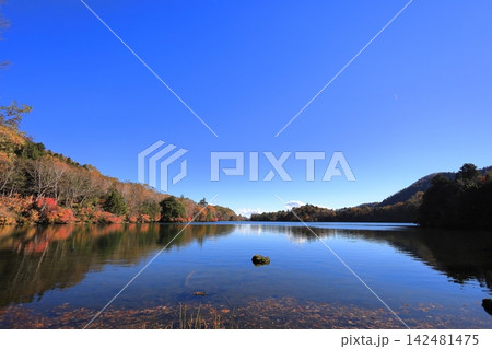 奥日光 湯ノ湖の紅葉/栃木県 日光市 奥日光 湯ノ湖の紅葉/栃木県 日光市 142481475