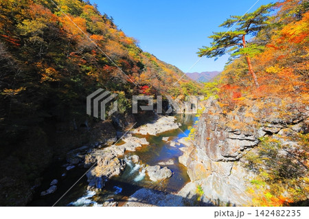 鬼怒川 龍王峡の紅葉/栃木県日光市 鬼怒川 龍王峡の紅葉/栃木県日光市 142482235