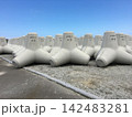 日本海沿岸に並ぶ消波ブロック　新潟県糸魚川市能生 142483281