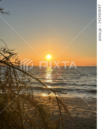 Golden sunset over the Adriatic sea in Croatia, sun glitter path on calm water, silhouetted tree branches in foreground Golden sunset over the Adriatic sea in Croatia, sun glitter path on calm water, silhouetted tree branches in foreground 142483647